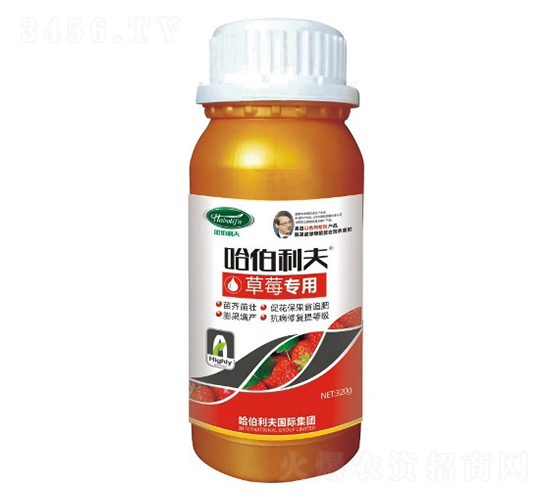 ��ݮ����-��������