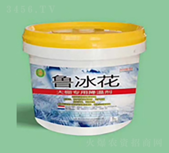 ���؄�-������-ֲ���S