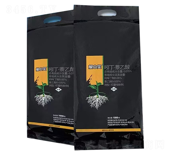 ����Ц�Ŷ���������-��������