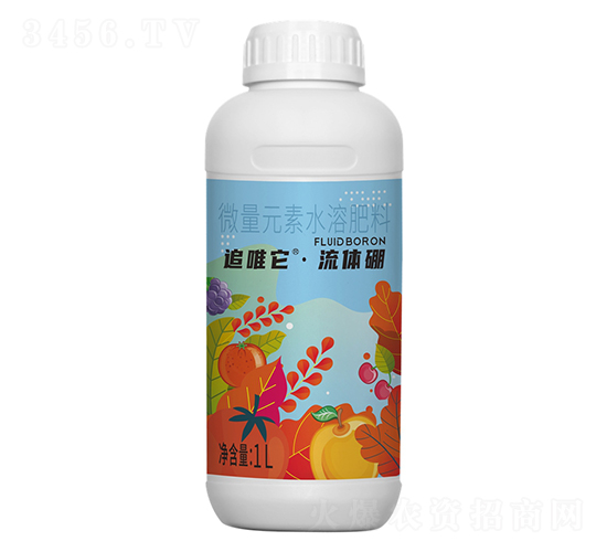 ׷Ψ�����w��-һ��