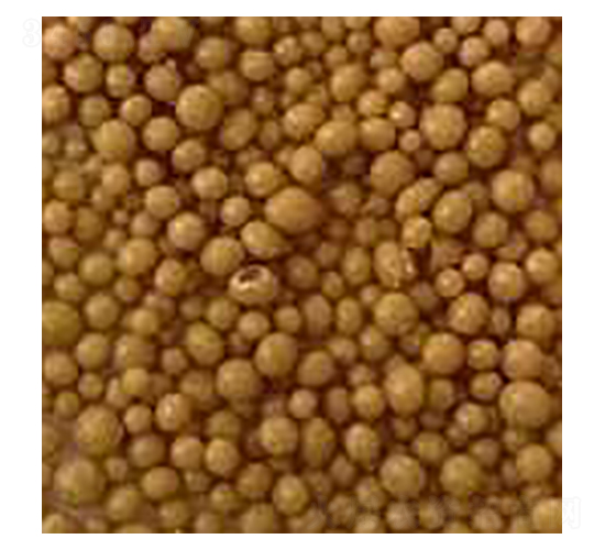 �S������Ч���׷�-�Ѓ|�r(n��ng)