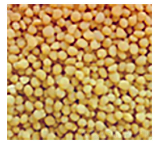 ������@�w��-ِ���طʘI(y��)