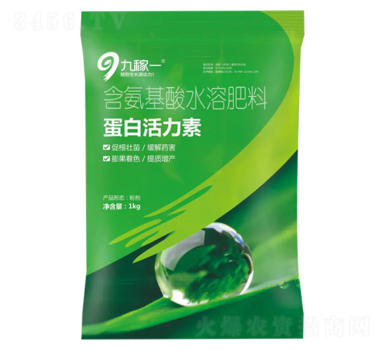 ���׻�����-�ż�һ