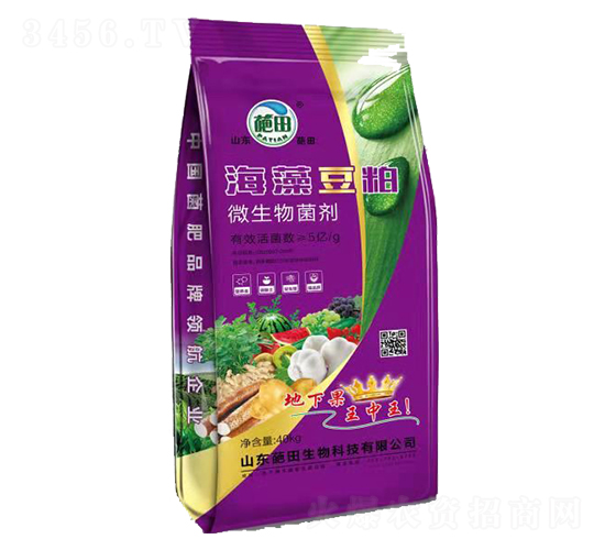 ��ɫ���b���嶹��΢�������-��������