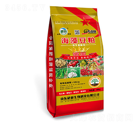 5�|�����嶹��΢�������-��������