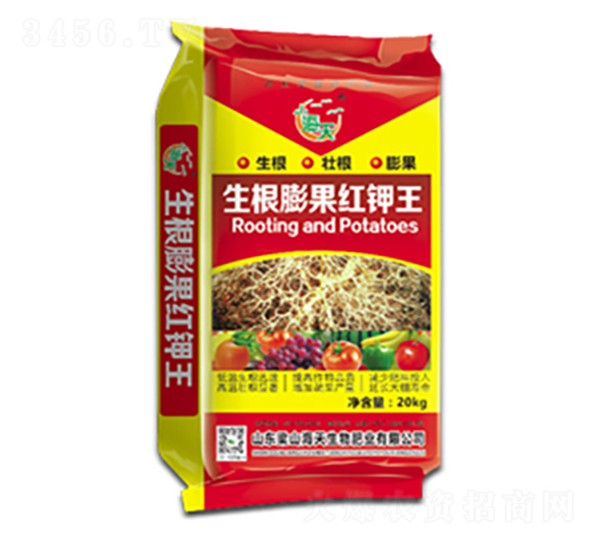 ��������t���-��������