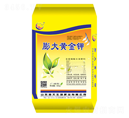 ����S���-��������