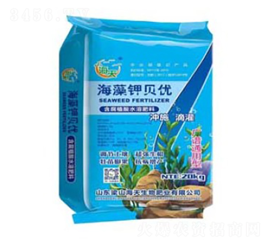 �����ؐ��(y��u)-��������