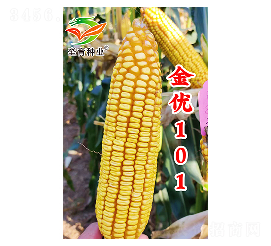 ����(y��u)101-���׷N��-�h���N�I(y��)