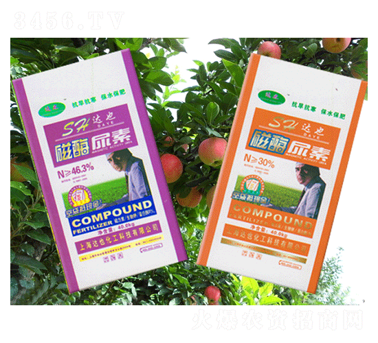 ��ø����-�_(d��)Ҳ����