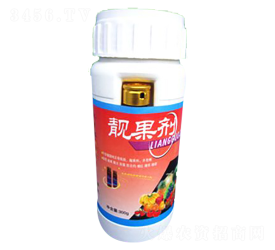 �����-ʩ����