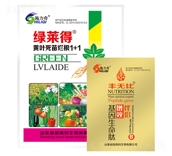 �S�~���砀��1+1-�G�R��-ԣ��߿�����