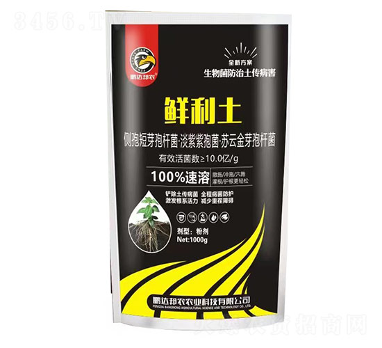 �����������������ȫ�·���-�r����-�i�_���r(n��ng)