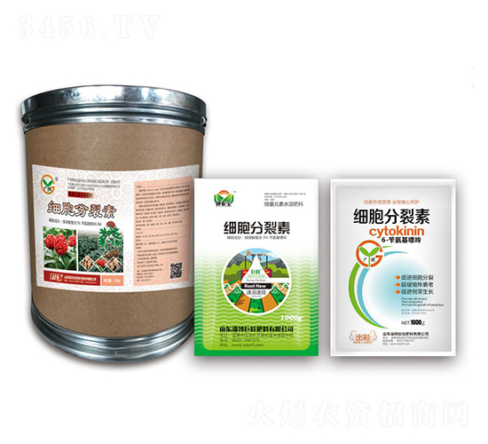 ��(x��)��������-��(zh��n)܇