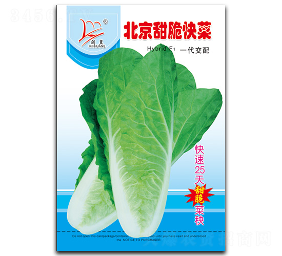 ���������-��˷N��-�}�ʷN�I(y��)