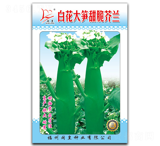 �׻���S�����m-���m�N��-�}�ʷN�I(y��)