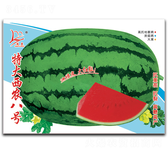 �ش����r(n��ng)��̖(h��o)-���ϷN��-�}�ʷN�I(y��)