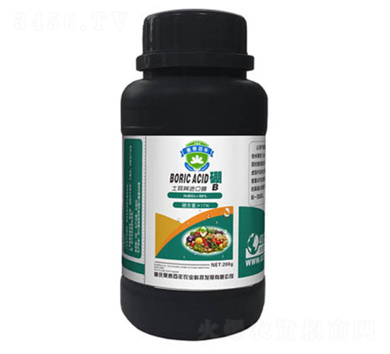 ������-��̩����