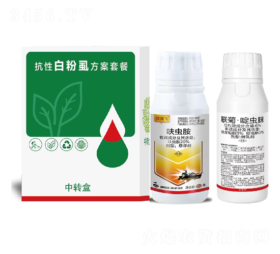 ���԰׷�ʭ�����ײ�-�Z�_(d��)��