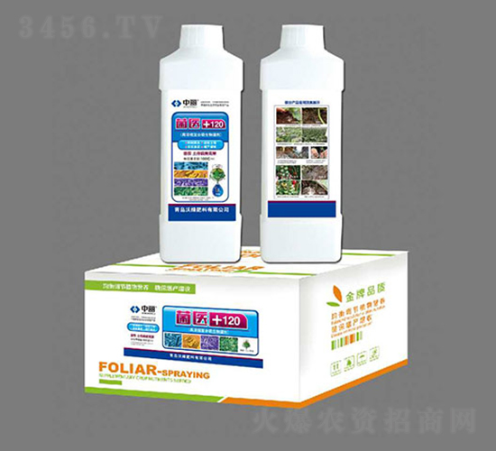 ���t(y��)+120-�־G����