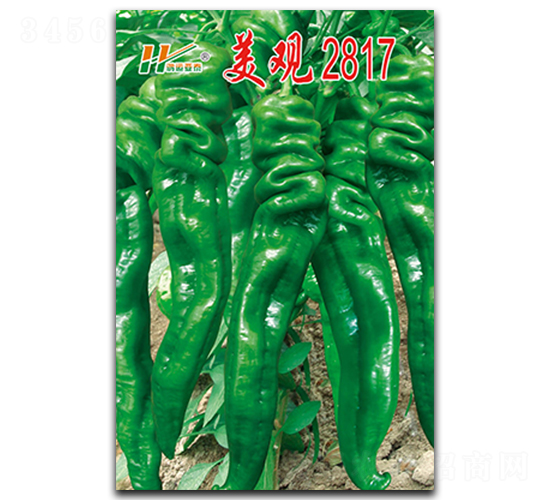 ���^2817-�ݽz���N��-��̩