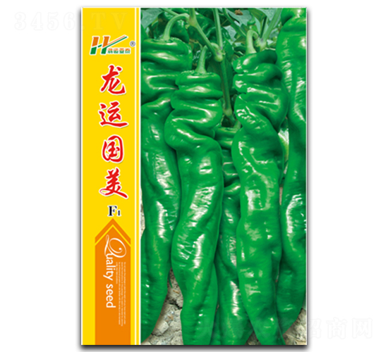 ���\(y��n)����-�ݽz���N��-��̩