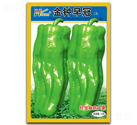 ������-��Ƥ���\���N��-��̩