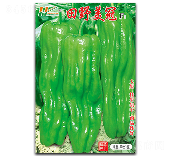 ��Ұ����-��Ƥ���\���N��-��̩