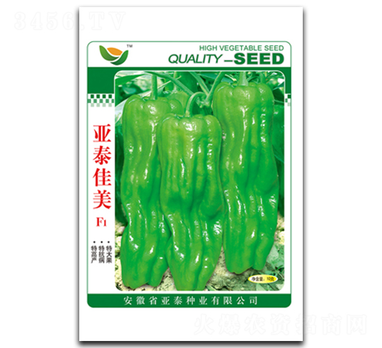 ��̩����-��Ƥ���\���N��-��̩