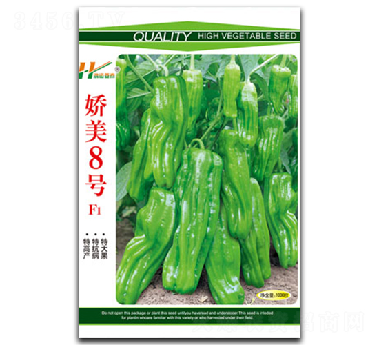 ����8̖-��Ƥ���\���N��-��̩