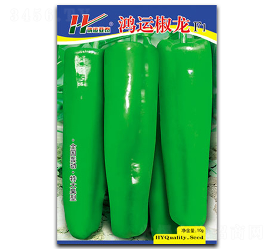 ���\(y��n)����-����ݽ��N��-��̩