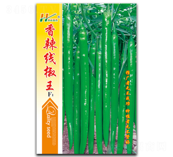 ����������-�����N��-��̩