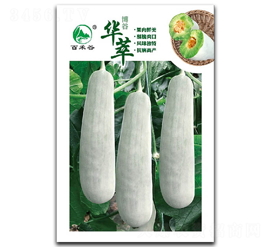 �A��-����۷N��-�ٺ̹�