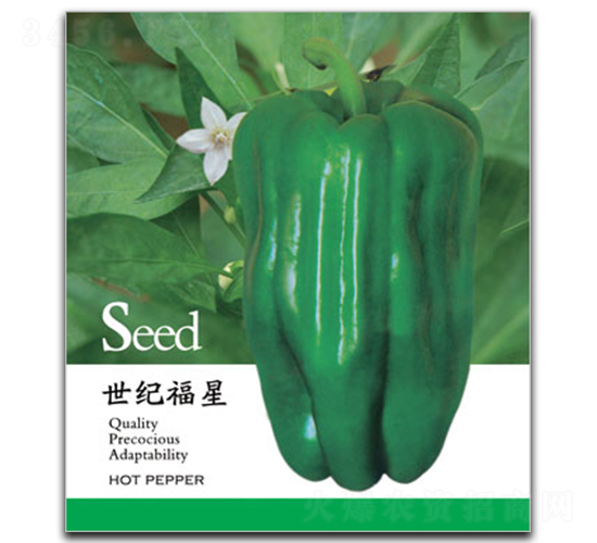 ���o(j��)����-�����N��-�ٺ̹�