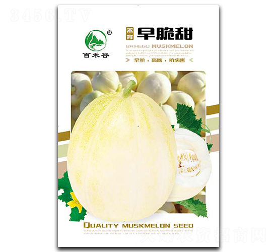 �����-��ϷN��-�ٺ̹�