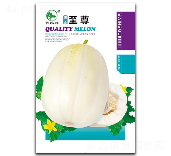 ��������-��ϷN��-�ٺ̹�