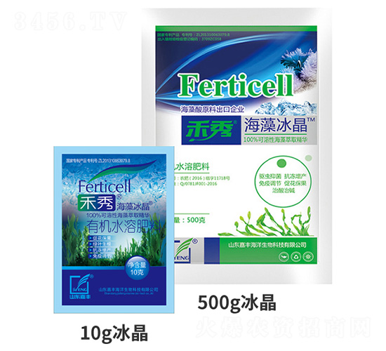 ���㡤�������-���S