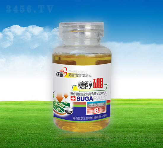 �Ǵ���-�μѸ�