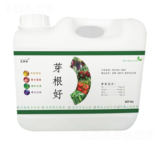 ѿ����-������