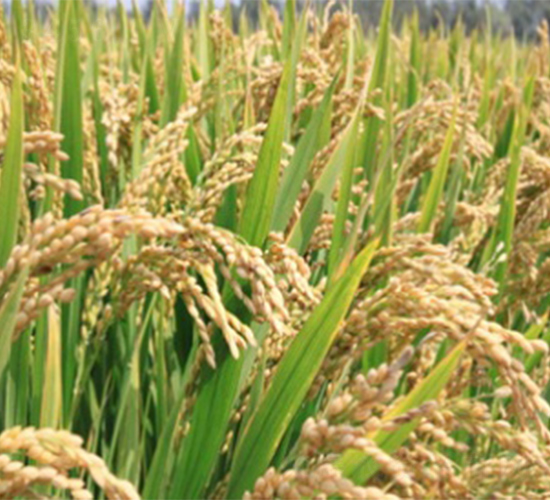 �(zh��n)��14-ˮ���N��-����N�I(y��)