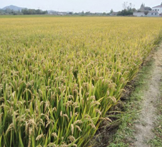 ��Ŵ1332-ˮ���N��-����N�I(y��)