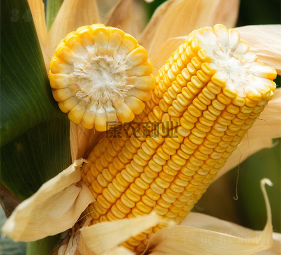 ���r(n��ng)��007-���׷N��-���r(n��ng)�N�I(y��)