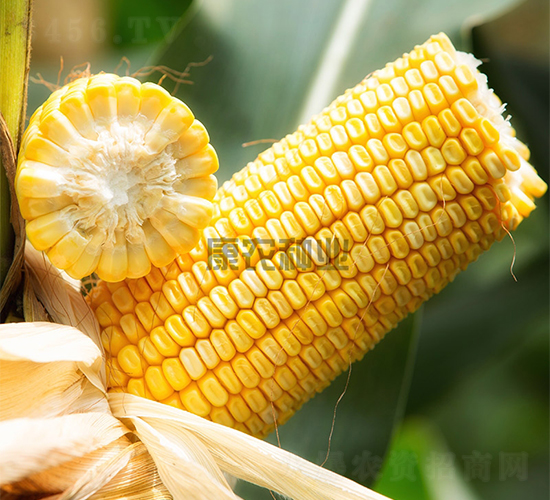 ���r(n��ng)��108-���׷N��-���r(n��ng)�N�I(y��)