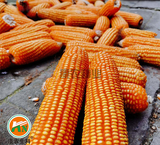 ���r(n��ng)��8̖(h��o)-���׷N��-���r(n��ng)�N�I(y��)