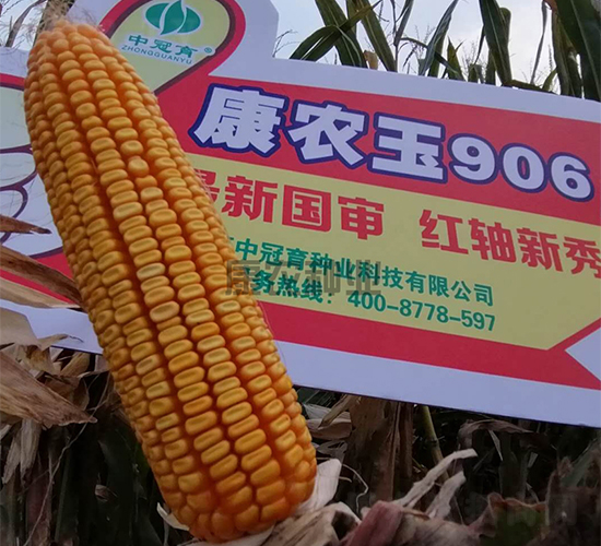 ���r(n��ng)��906-���׷N��-���r(n��ng)�N�I(y��)