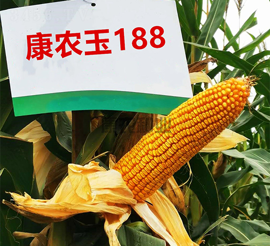 ���r(n��ng)��188-���׷N��-���r(n��ng)�N�I(y��)