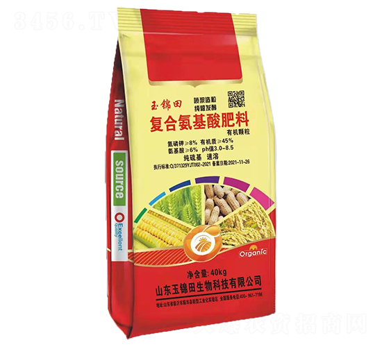 ���{�����ͺϰ��������-���\��