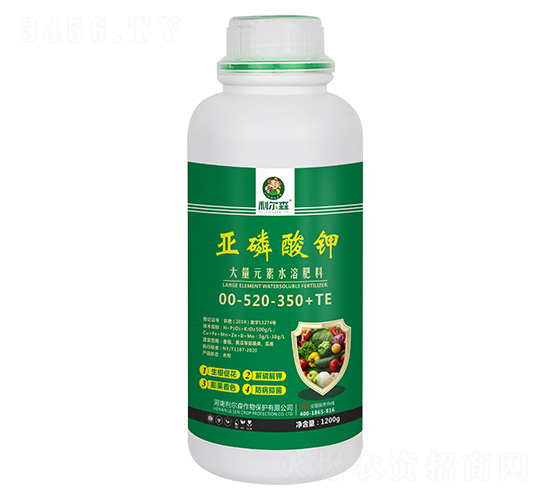 �������-����ɭ