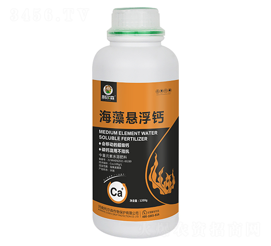 ����Ҹ��}-����ɭ