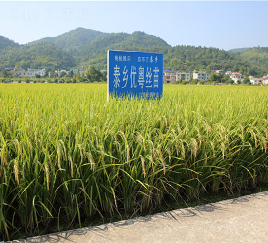 ̩�l(xi��ng)��(y��u)���z��-ˮ���N��-���ķN�I(y��)